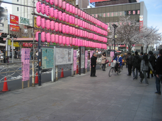 東京の桜はあっという間でしたね