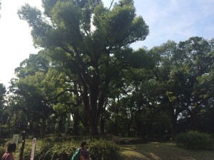 IMG_0208