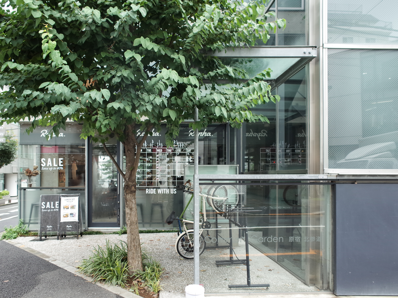 新着情報～common garden 原宿北参道他～