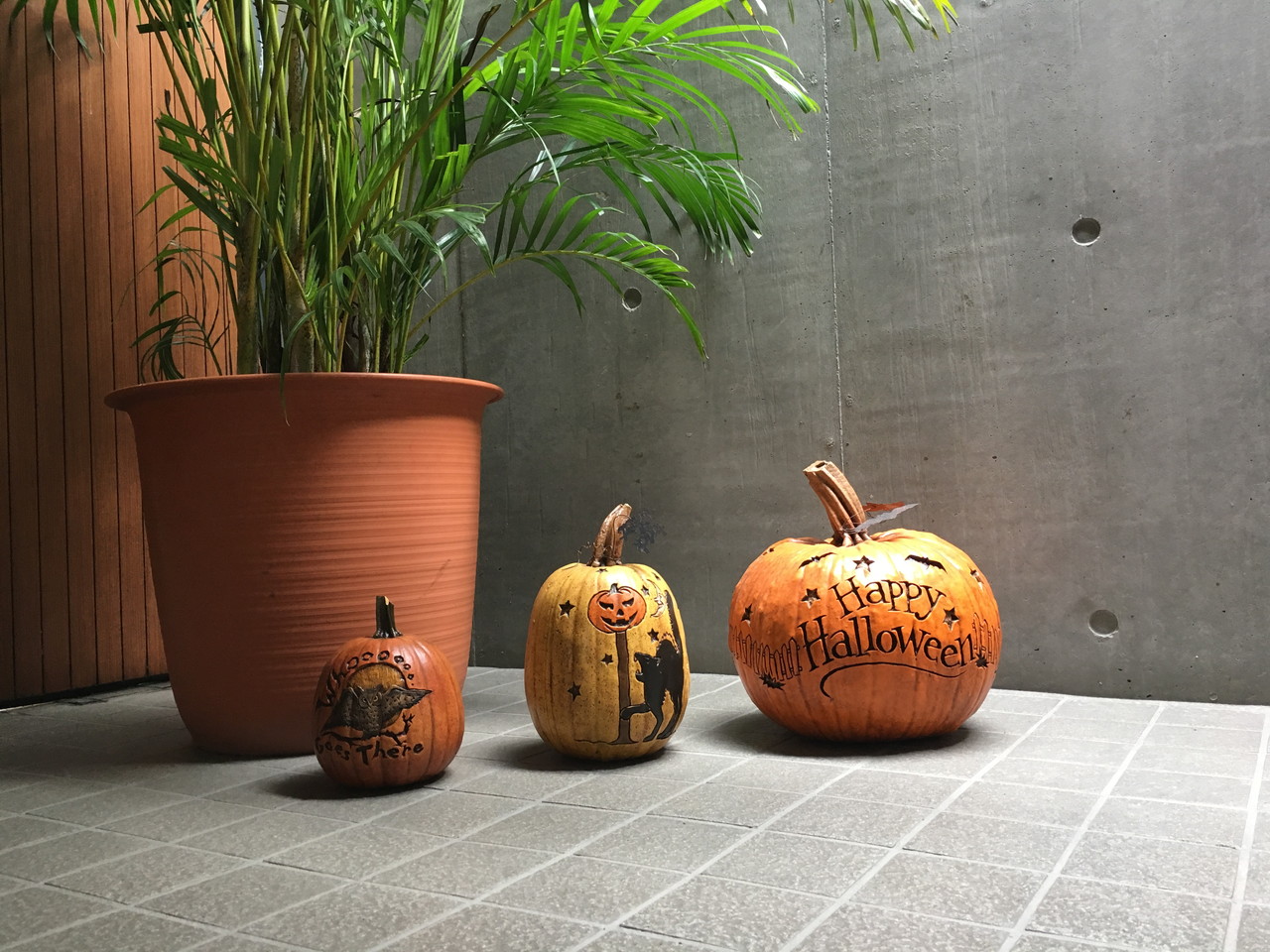 Happy Halloween