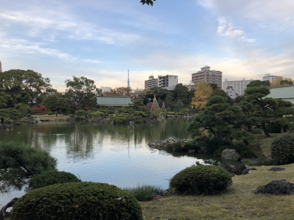 2020年新築情報