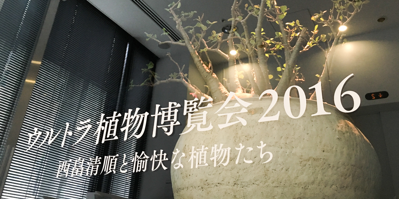 ウルトラ植物博覧会