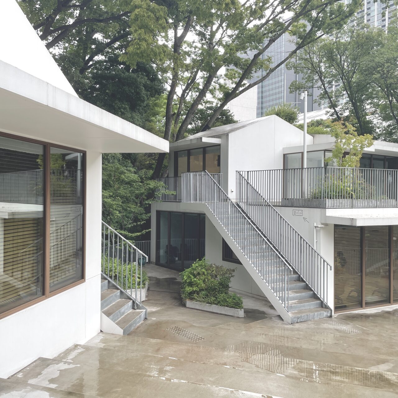 藤本壮介の新校舎