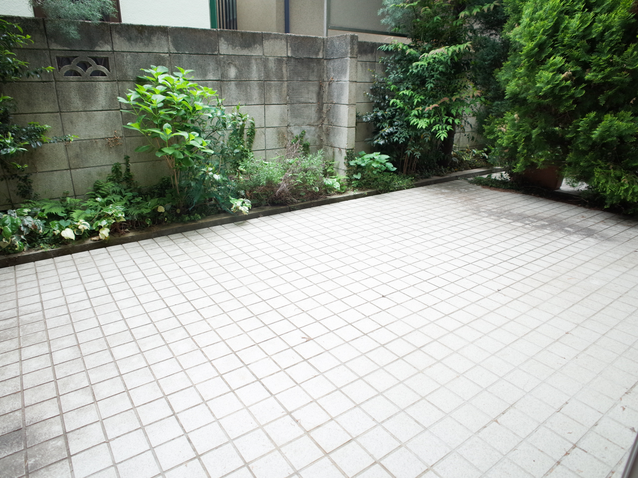 1280×960-0067008
