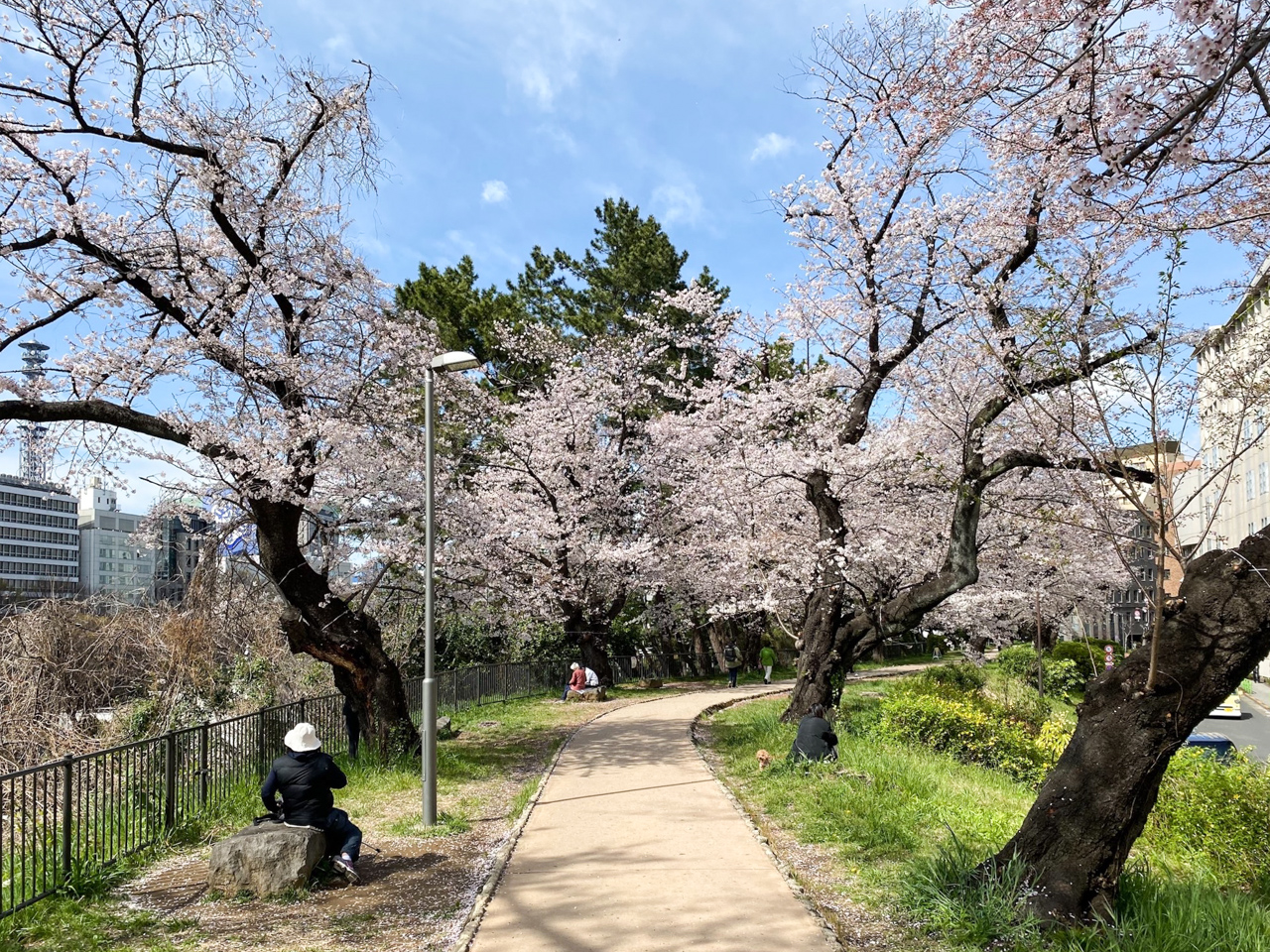 resize-798