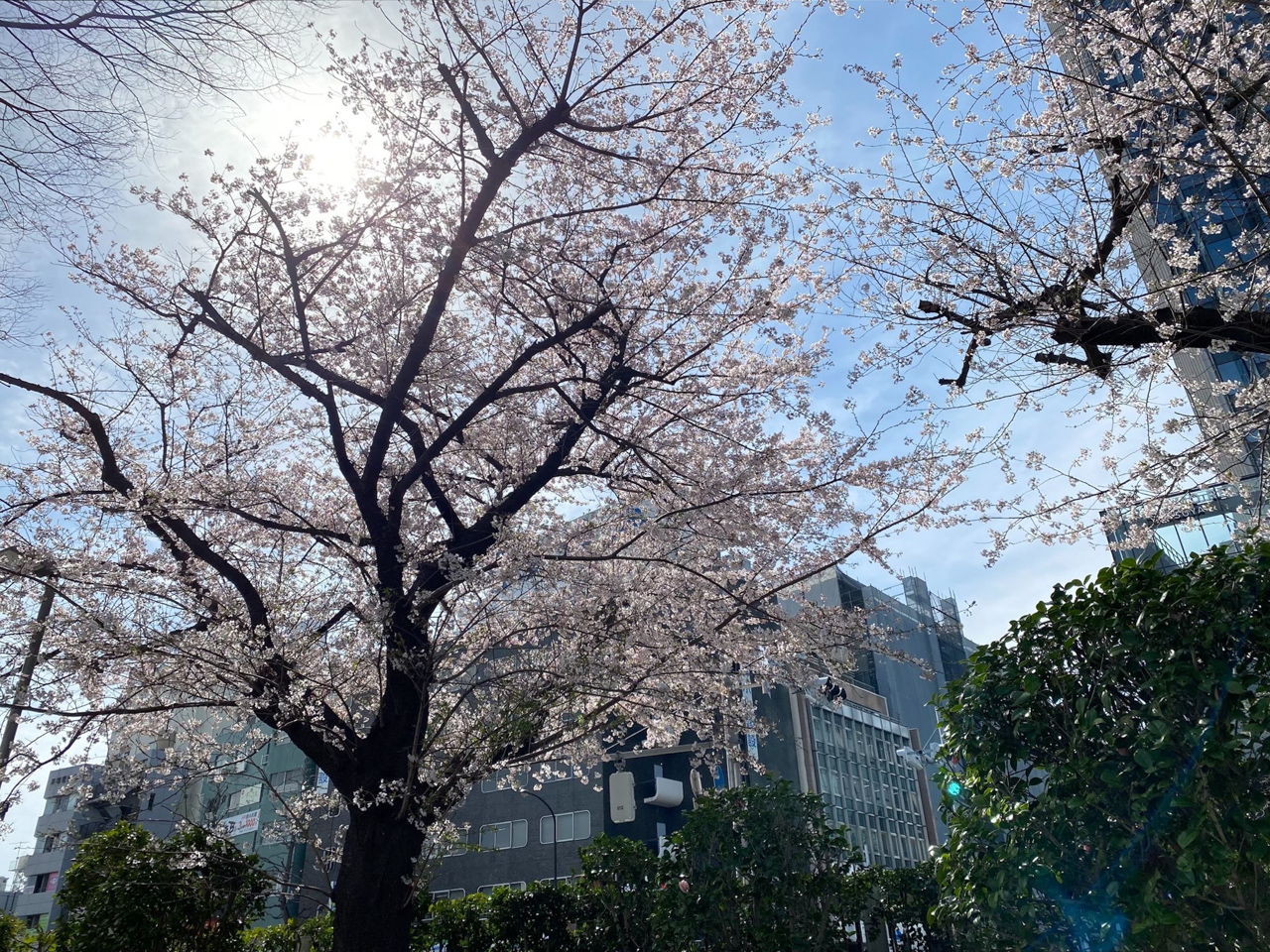resize-800