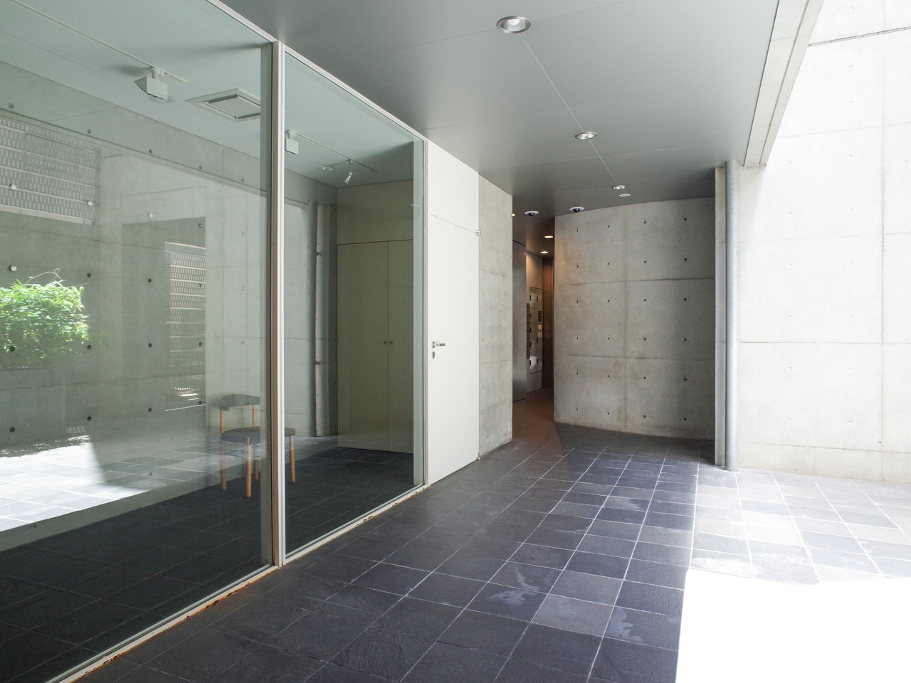 Modernaの写真4
