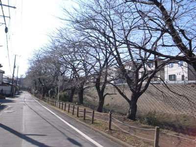 F3 HOUSEの周辺環境