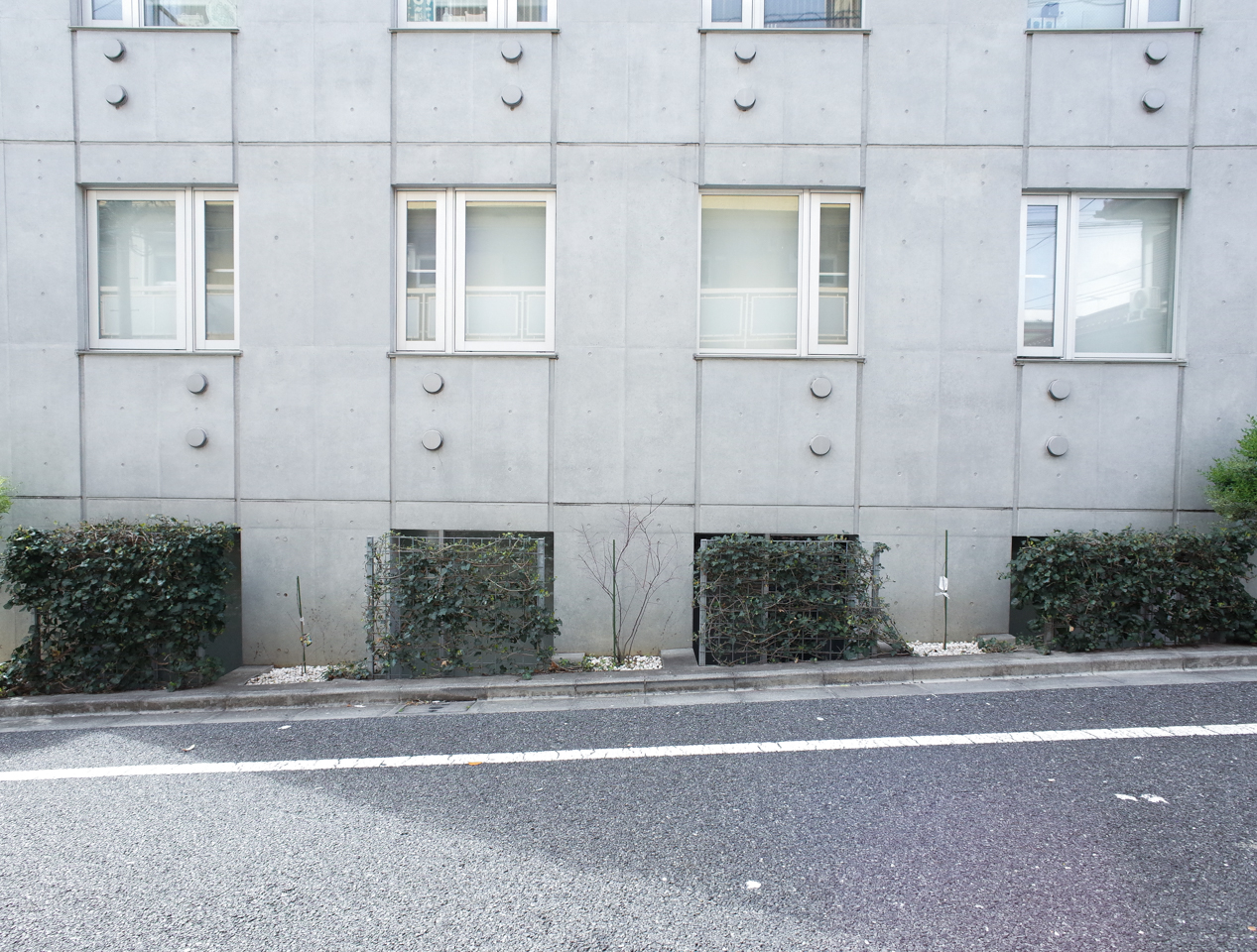 Deux Cubesの写真2