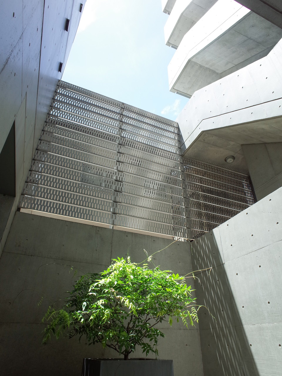 Modernaの写真6