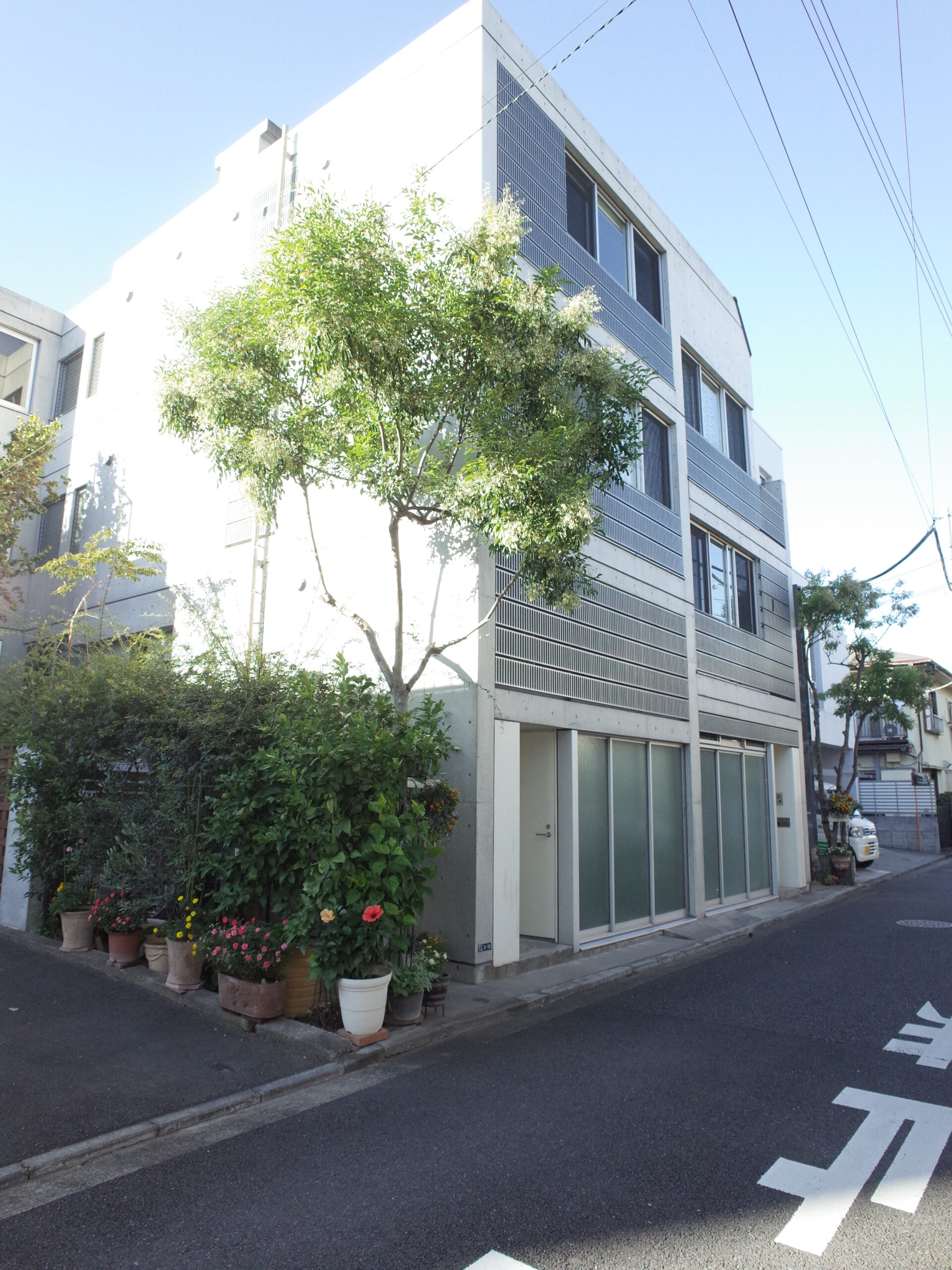al dominoの写真6