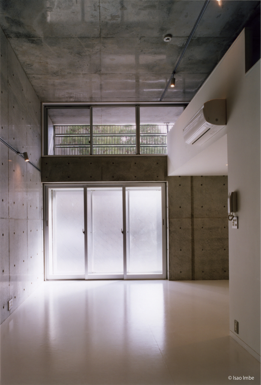 al dominoの写真4