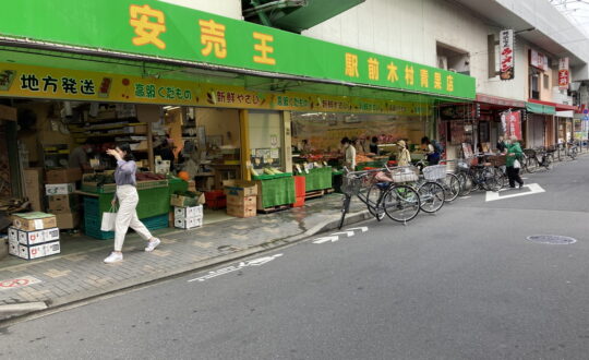 SAKAMURA HOUSEの周辺環境