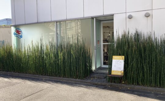 panoramaの周辺環境