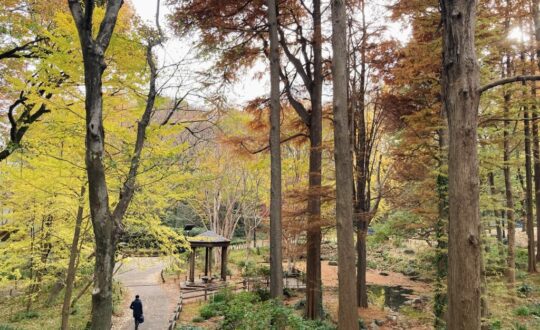 武蔵小山.Hillzの周辺環境