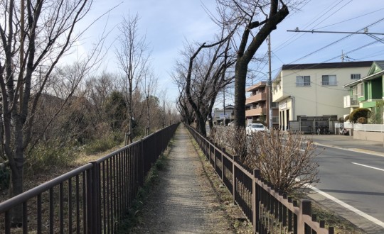 さくらこみちの周辺環境