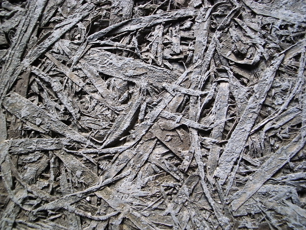 SAKAMURA HOUSEの写真9