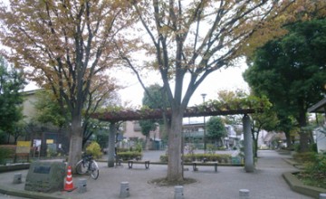 C810の周辺環境