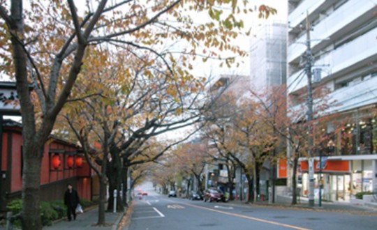 blanco cuboの周辺環境