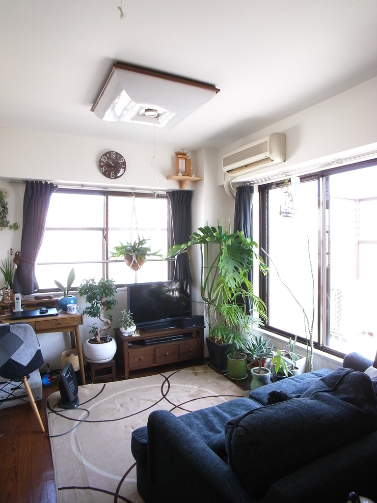 ライオンズマンション新板橋の写真2