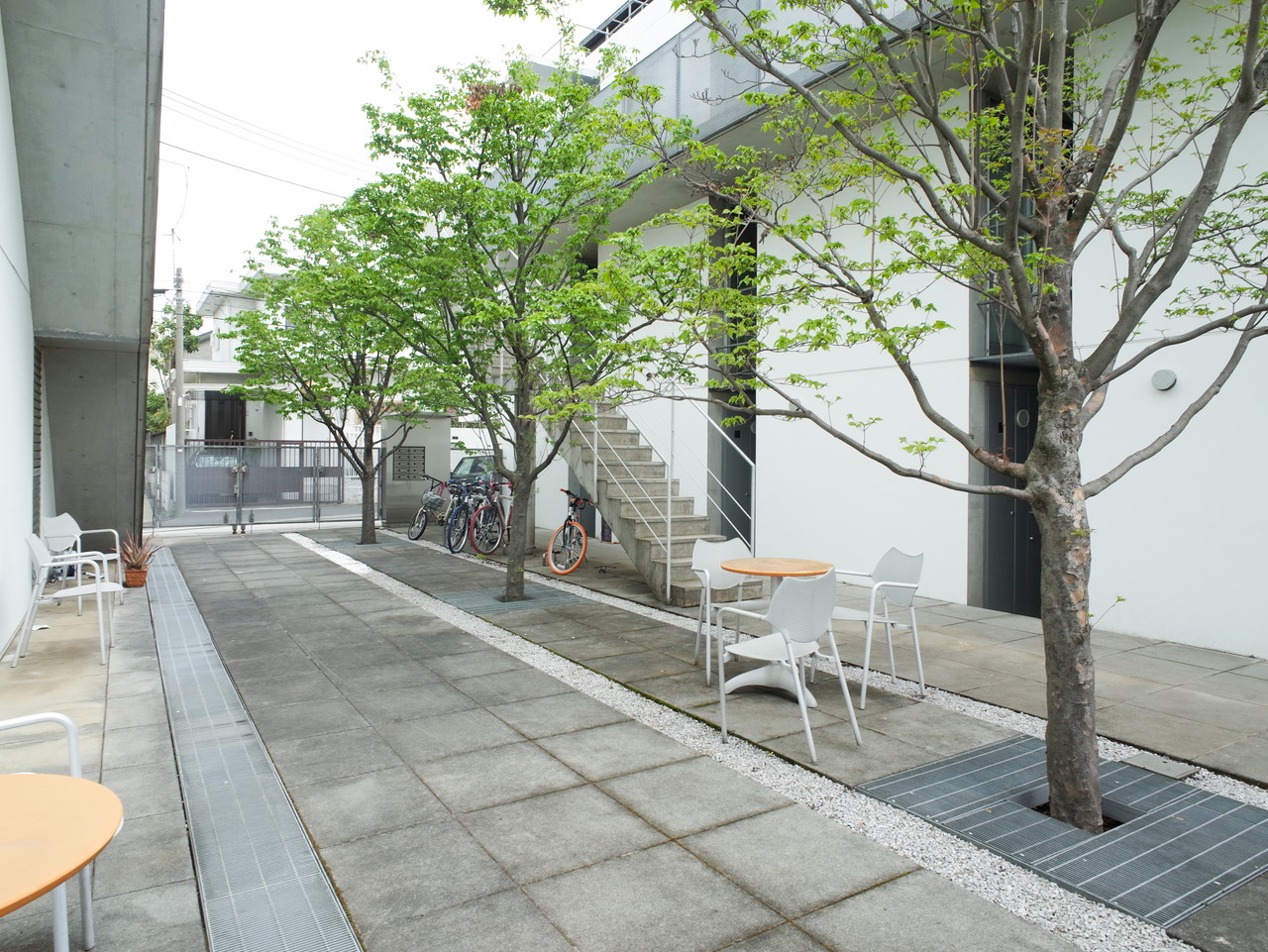 split 201の写真11
