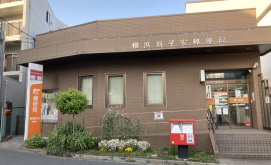 primusの周辺環境