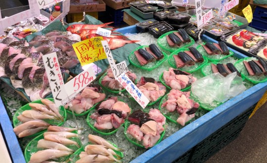 Umenoki Terraceの周辺環境