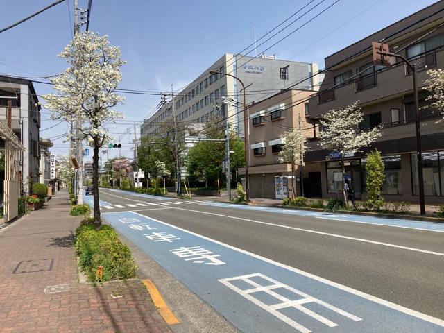さくらこみちの周辺環境