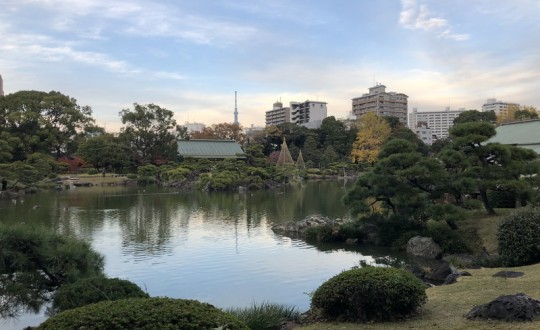 FRAMEの周辺環境