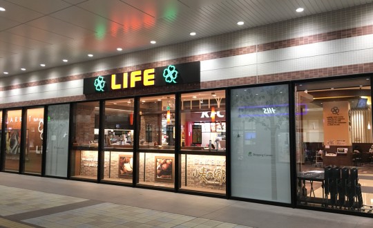 IL CIELOの周辺環境