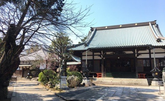 TREESの周辺環境