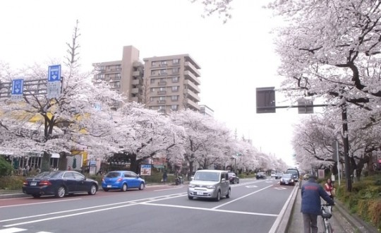 CRESTの周辺環境