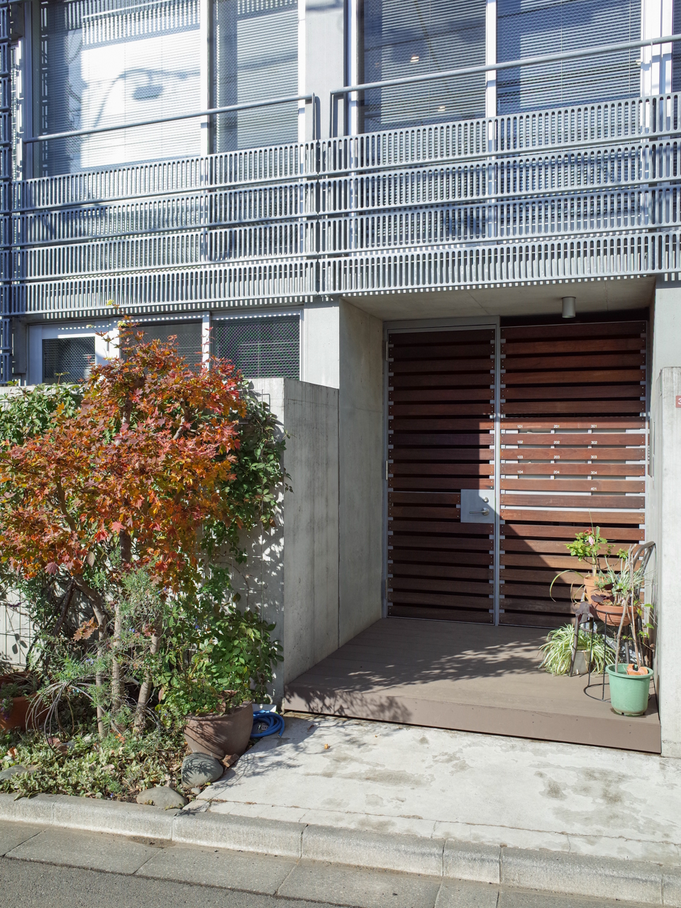 thyme 103の写真15