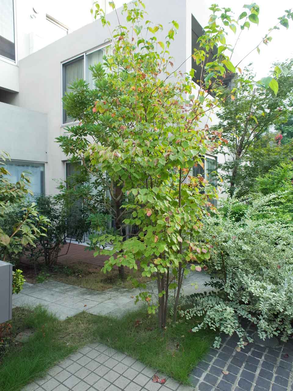 KAMIUMA PLACEの写真4