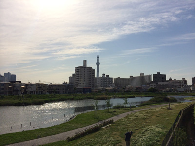 kapの周辺環境