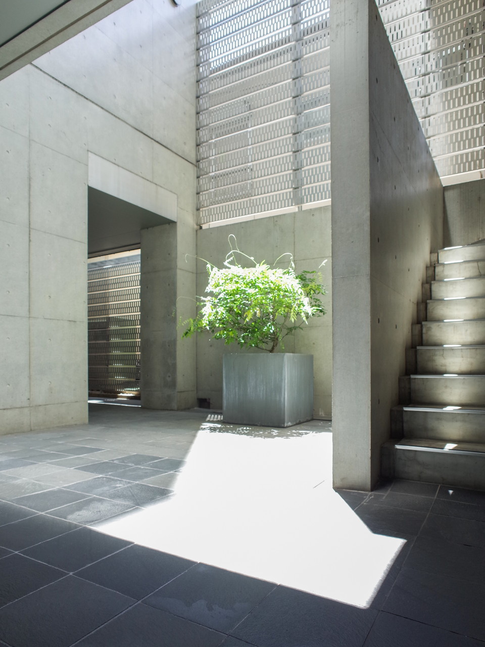 Modernaの写真5