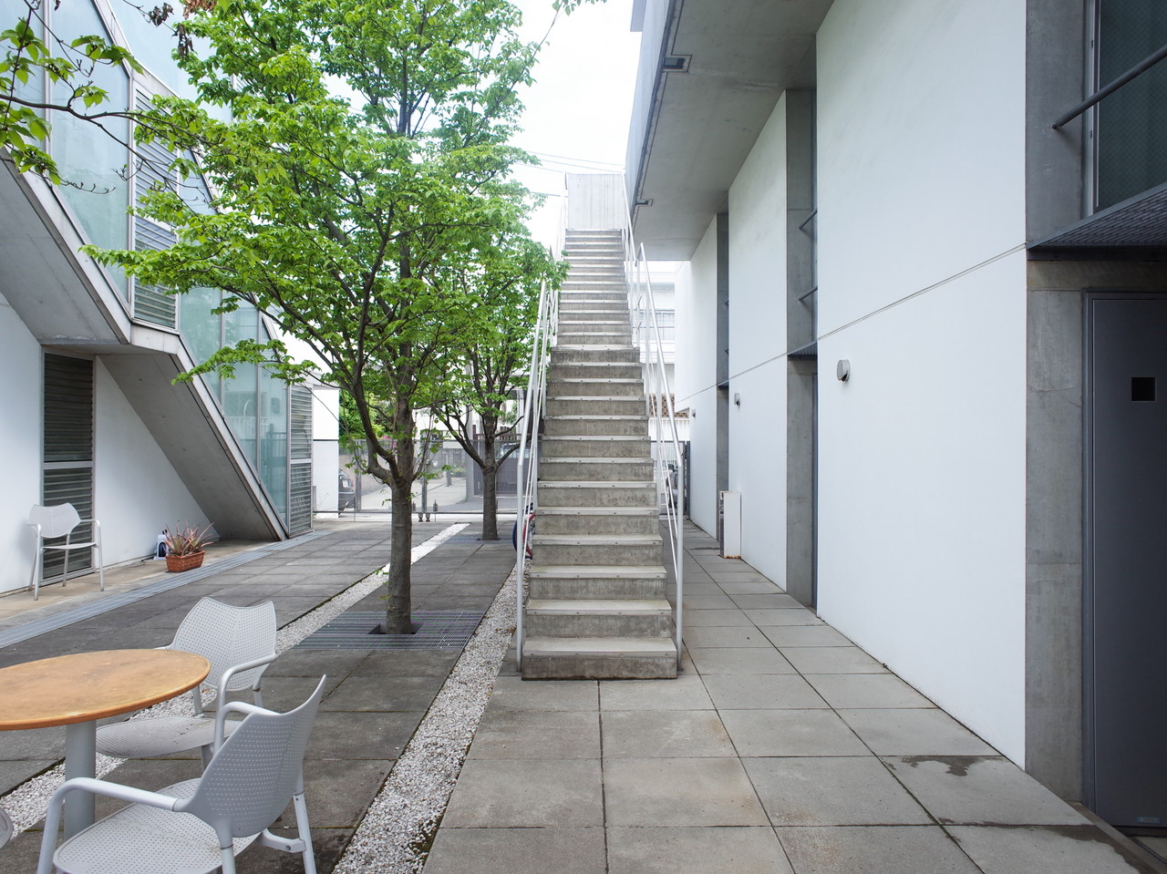split 201の写真12