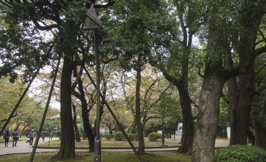 根津の家の周辺環境